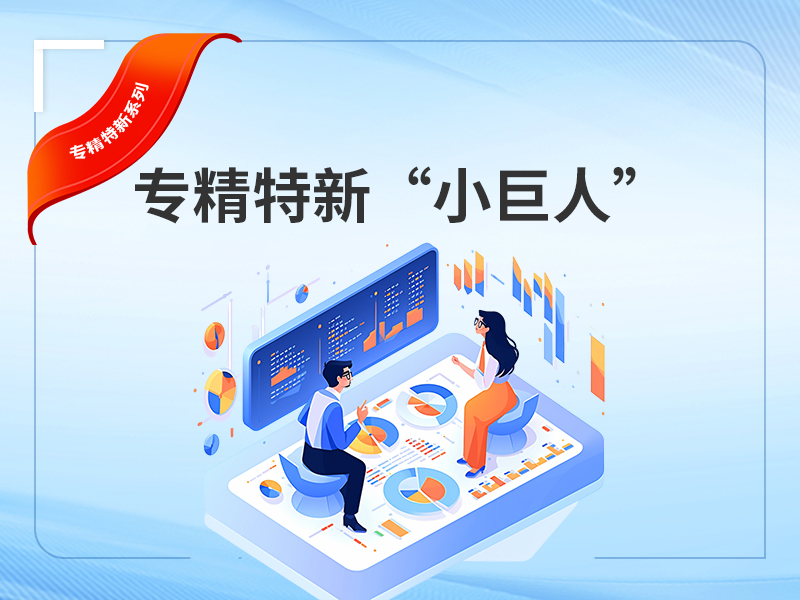 专精特新“小巨人”